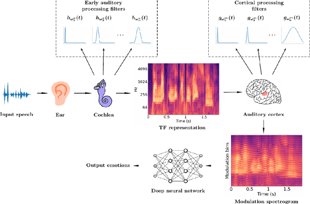 Figure 1 for Modulation spectral features for speech emotion recognition using deep neural networks