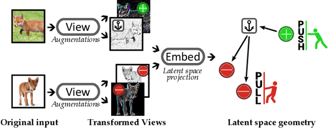 Figure 3 for Contrastive Learning and Data Augmentation in Traffic Classification Using a Flowpic Input Representation