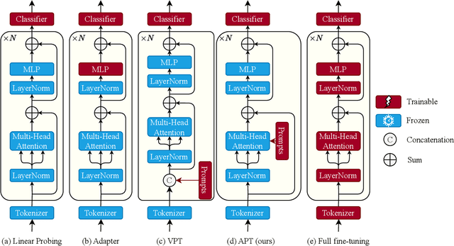 Figure 1 for Attention Prompt Tuning: Parameter-efficient Adaptation of Pre-trained Models for Spatiotemporal Modeling