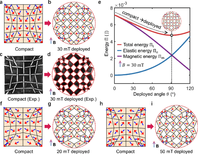 Figure 4 for Physics-aware differentiable design of magnetically actuated kirigami for shape morphing