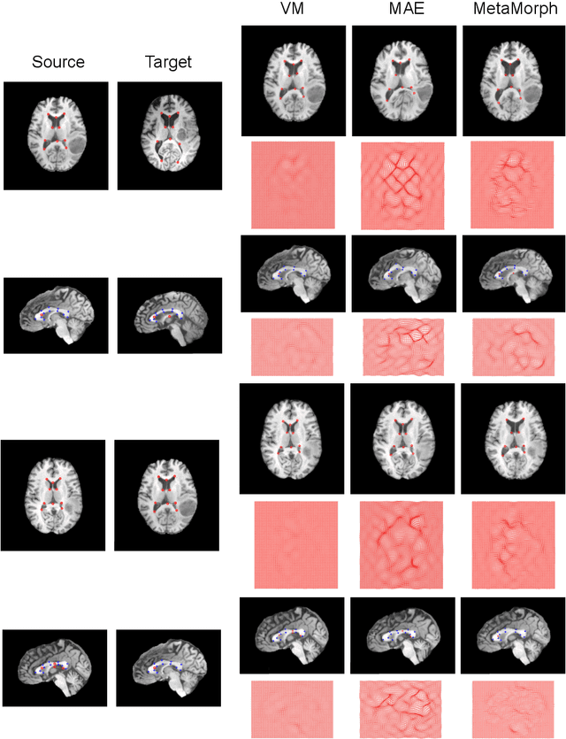 Figure 2 for MetaMorph: Learning Metamorphic Image Transformation With Appearance Changes