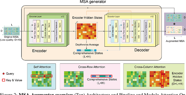 Figure 3 for Enhancing the Protein Tertiary Structure Prediction by Multiple Sequence Alignment Generation