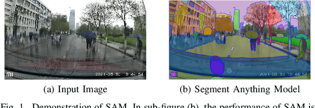 Figure 1 for Prompt What You Need: Enhancing Segmentation in Rainy Scenes with Anchor-based Prompting
