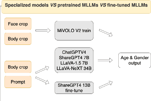 Figure 3 for Beyond Specialization: Assessing the Capabilities of MLLMs in Age and Gender Estimation