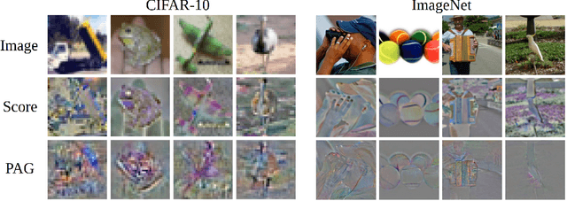 Figure 1 for Which Models have Perceptually-Aligned Gradients? An Explanation via Off-Manifold Robustness