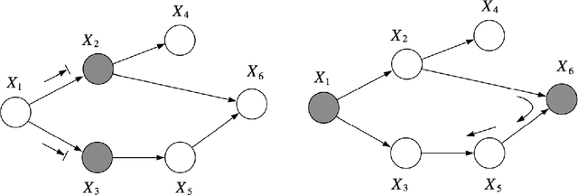 Figure 3 for Structure Learning and Parameter Estimation for Graphical Models via Penalized Maximum Likelihood Methods