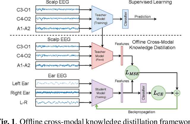 Figure 1 for A Knowledge Distillation Framework For Enhancing Ear-EEG Based Sleep Staging With Scalp-EEG Data