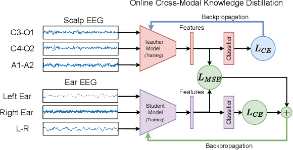 Figure 3 for A Knowledge Distillation Framework For Enhancing Ear-EEG Based Sleep Staging With Scalp-EEG Data