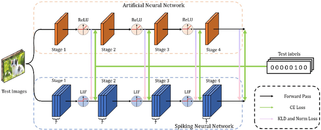 Figure 1 for Joint A-SNN: Joint Training of Artificial and Spiking Neural Networks via Self-Distillation and Weight Factorization