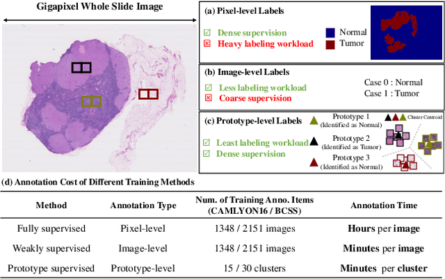 Figure 1 for Human-machine Interactive Tissue Prototype Learning for Label-efficient Histopathology Image Segmentation