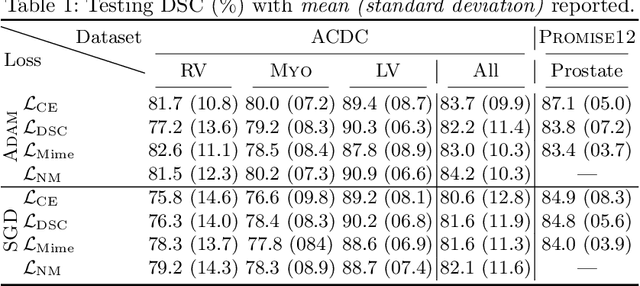 Figure 2 for On the dice loss gradient and the ways to mimic it