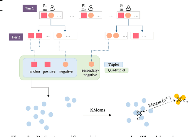 Figure 3 for Ugly Ducklings or Swans: A Tiered Quadruplet Network with Patient-Specific Mining for Improved Skin Lesion Classification