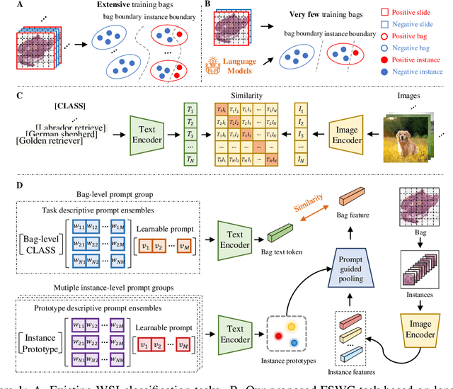 Figure 1 for The Rise of AI Language Pathologists: Exploring Two-level Prompt Learning for Few-shot Weakly-supervised Whole Slide Image Classification