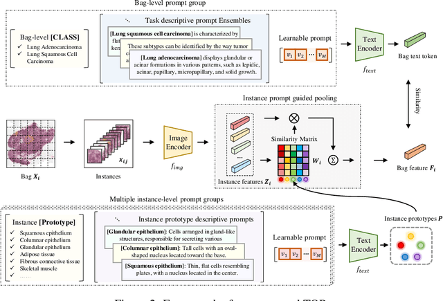 Figure 3 for The Rise of AI Language Pathologists: Exploring Two-level Prompt Learning for Few-shot Weakly-supervised Whole Slide Image Classification