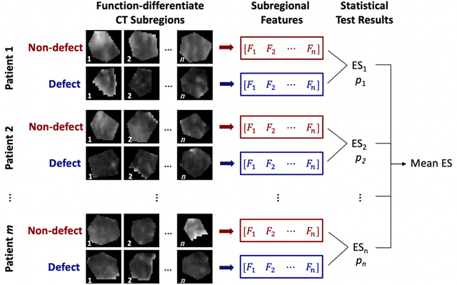 Figure 3 for Extracting lung function-correlated information from CT-encoded static textures