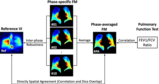Figure 4 for Extracting lung function-correlated information from CT-encoded static textures