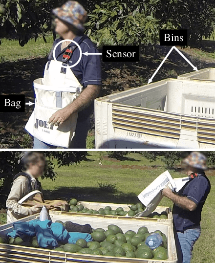 Figure 1 for Fruit Picker Activity Recognition with Wearable Sensors and Machine Learning