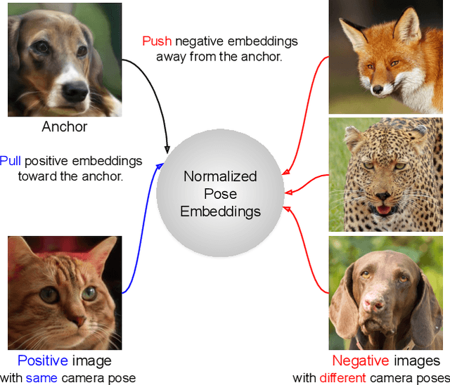 Figure 2 for ContraNeRF: 3D-Aware Generative Model via Contrastive Learning with Unsupervised Implicit Pose Embedding