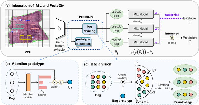 Figure 1 for ProtoDiv: Prototype-guided Division of Consistent Pseudo-bags for Whole-slide Image Classification