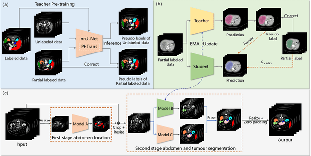 Figure 3 for Two-Stage Hybrid Supervision Framework for Fast, Low-resource, and Accurate Organ and Pan-cancer Segmentation in Abdomen CT