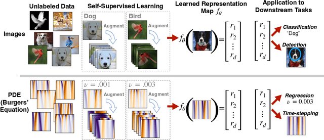 Figure 1 for Self-Supervised Learning with Lie Symmetries for Partial Differential Equations