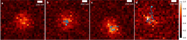 Figure 1 for Deep Learning-Assisted Localisation of Nanoparticles in synthetically generated two-photon microscopy images