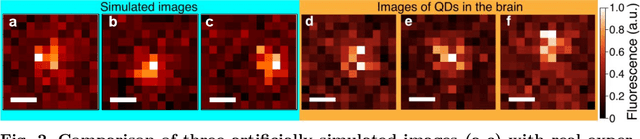 Figure 3 for Deep Learning-Assisted Localisation of Nanoparticles in synthetically generated two-photon microscopy images