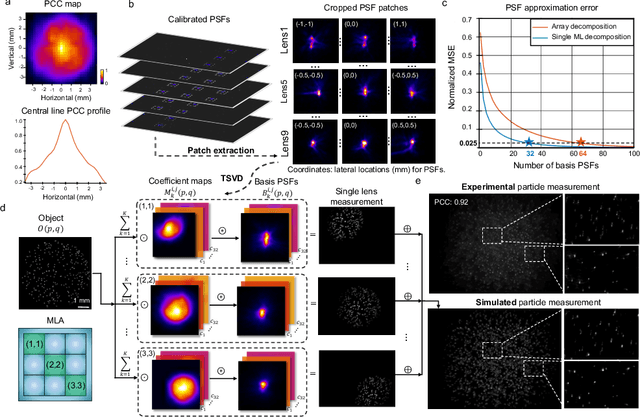 Figure 2 for Wide-Field, High-Resolution Reconstruction in Computational Multi-Aperture Miniscope Using a Fourier Neural Network