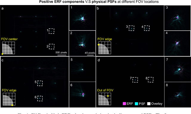 Figure 4 for Wide-Field, High-Resolution Reconstruction in Computational Multi-Aperture Miniscope Using a Fourier Neural Network