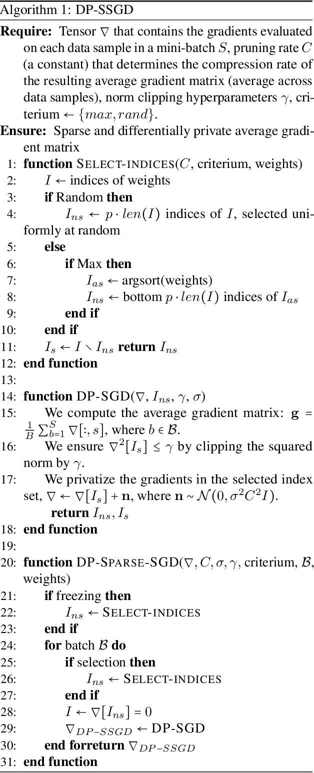 Figure 1 for Differential Privacy Meets Neural Network Pruning