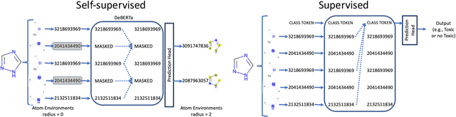 Figure 1 for MolE: a molecular foundation model for drug discovery