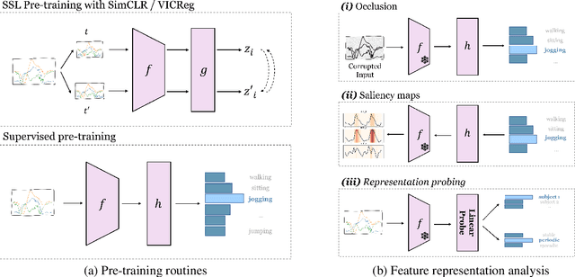 Figure 1 for Explaining, Analyzing, and Probing Representations of Self-Supervised Learning Models for Sensor-based Human Activity Recognition