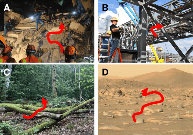 Figure 3 for Snake and Snake Robot Locomotion in Complex, 3-D Terrain