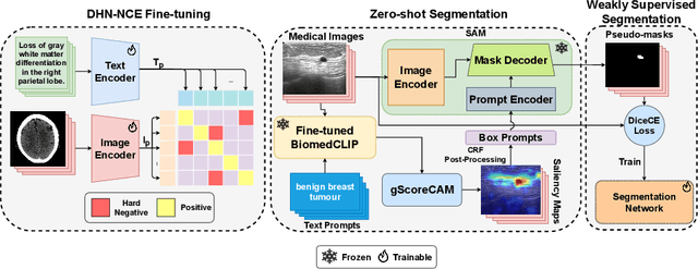 Figure 1 for MedCLIP-SAM: Bridging Text and Image Towards Universal Medical Image Segmentation