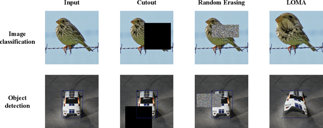 Figure 1 for Local Magnification for Data and Feature Augmentation