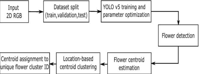 Figure 1 for Machine Vision System for Early-stage Apple Flowers and Flower Clusters Detection for Precision Thinning and Pollination