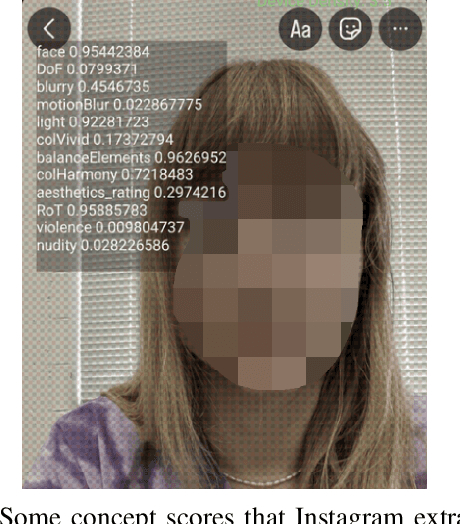 Figure 1 for A Picture is Worth 500 Labels: A Case Study of Demographic Disparities in Local Machine Learning Models for Instagram and TikTok