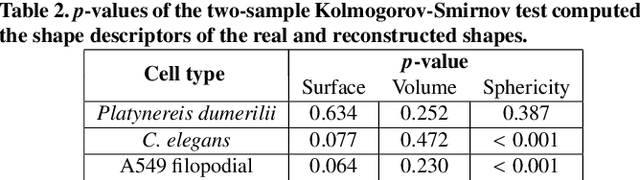 Figure 4 for Generative modeling of living cells with SO(3)-equivariant implicit neural representations