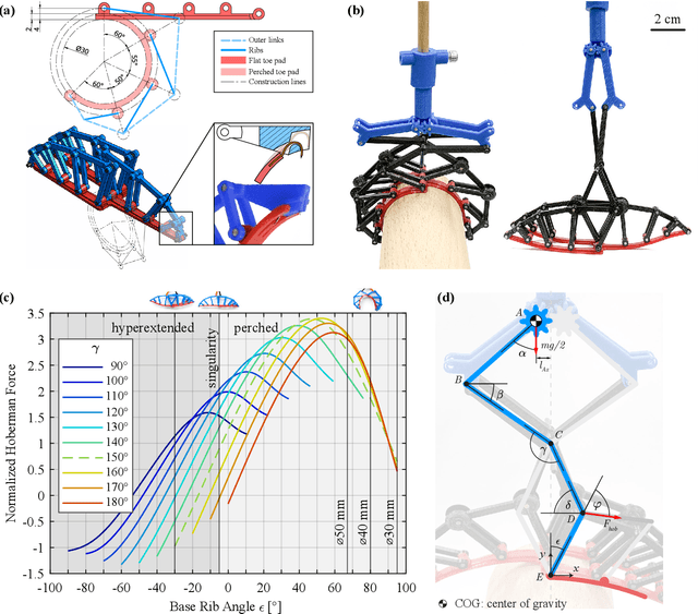Figure 2 for Avian-Inspired Claws Enable Robot Perching and Walking