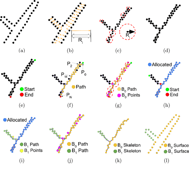 Figure 3 for Smart-Tree: Neural Medial Axis Approximation of Point Clouds for 3D Tree Skeletonization