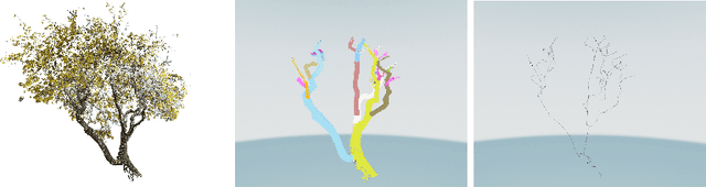 Figure 4 for Smart-Tree: Neural Medial Axis Approximation of Point Clouds for 3D Tree Skeletonization