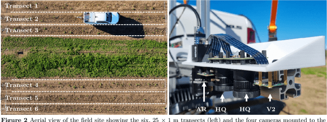 Figure 3 for Investigating image-based fallow weed detection performance on Raphanus sativus and Avena sativa at speeds up to 30 km h$^{-1}$