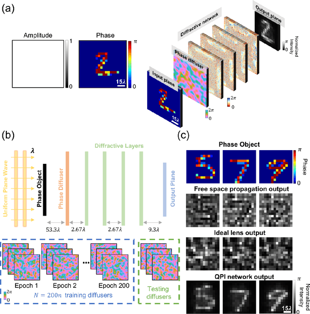 Figure 1 for Quantitative phase imaging (QPI) through random diffusers using a diffractive optical network