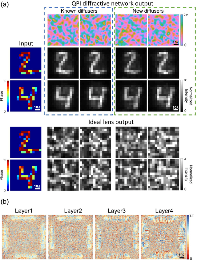 Figure 2 for Quantitative phase imaging (QPI) through random diffusers using a diffractive optical network