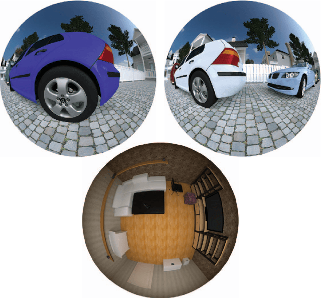 Figure 1 for Temporal error concealment for fisheye video sequences based on equisolid re-projection
