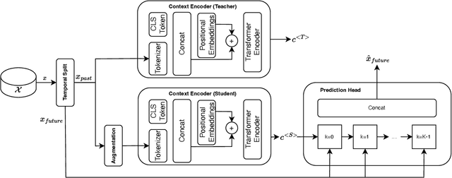 Figure 2 for TS-MoCo: Time-Series Momentum Contrast for Self-Supervised Physiological Representation Learning