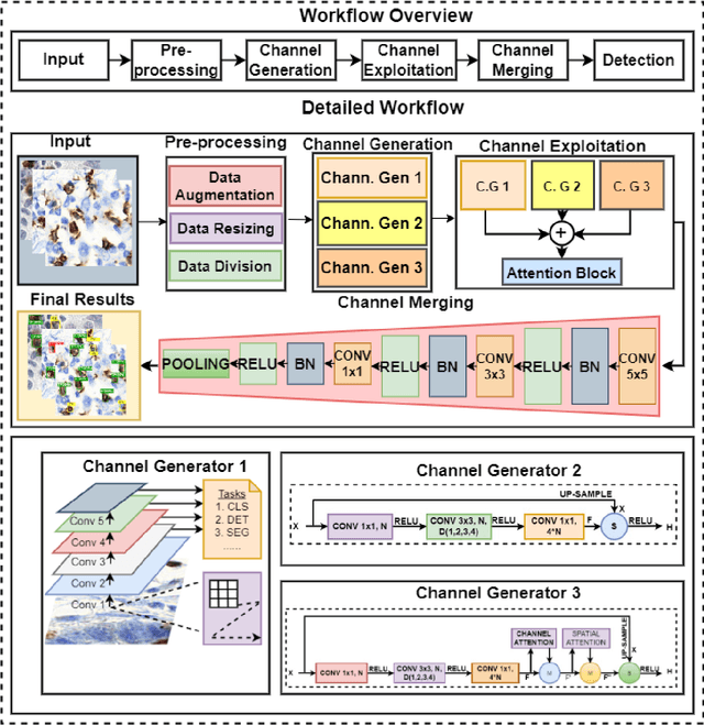 Figure 2 for CB-HVTNet: A channel-boosted hybrid vision transformer network for lymphocyte assessment in histopathological images