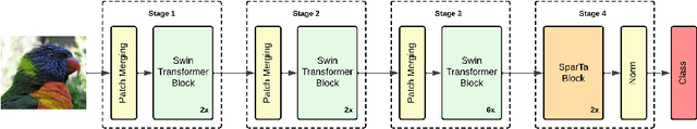 Figure 1 for SparseSwin: Swin Transformer with Sparse Transformer Block