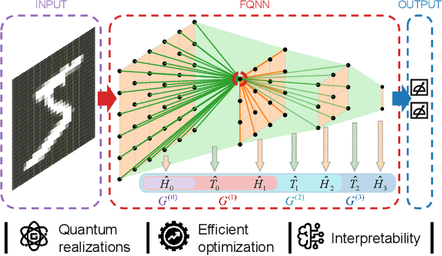 Figure 1 for A quantum neural network with efficient optimization and interpretability