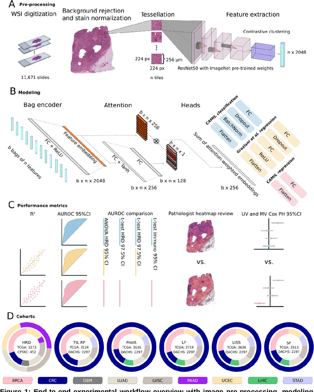 Figure 1 for Regression-based Deep-Learning predicts molecular biomarkers from pathology slides